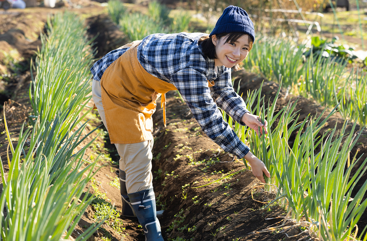 農業体験 プログラム