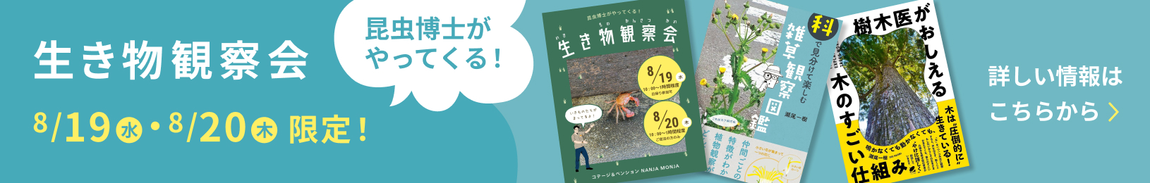 昆虫博士がやってくる！「生き物観察会」8/19（水）・8/20（木）限定！