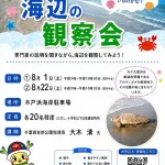 海辺の観察会表